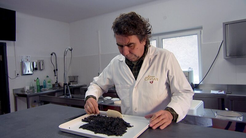 Romeo Schermann bei der Produktion des südburgenländischen Kaviars. – Bild: ORF/Landesstudio Burgenland Romeo Schermann bei der Produktion des südburgenländischen Kaviars. – Bild: ORF/Landesstudio Burgenland