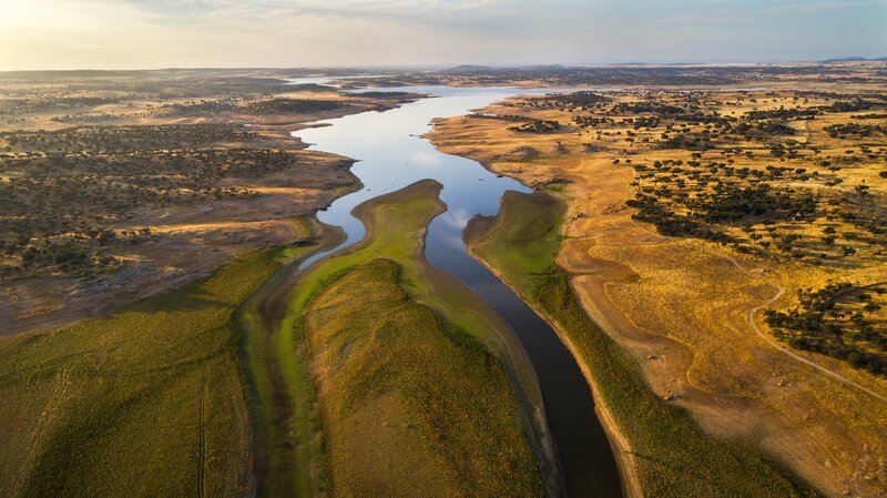 Die Landschaft der Dehesa aus der Vogelperspektive. Die einzeln stehenden Bäume mit niedrigem Bodenbewuchs dazwischen, bieten ein optimales Jagdgebiet, denn für Beutetiere gibt es wenig Deckung. – Bild: Herminio M. Muñiz /​ Wanda Vision /​ Terra Mater Factual Studios