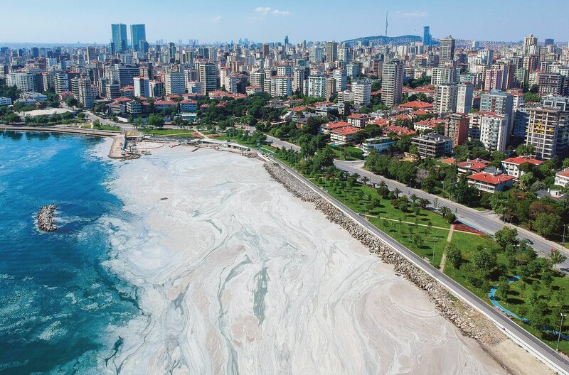 2021 waren große Teile der Oberfläche des Marmarameeres von einer Schleimschicht bedeckt. – Bild: ZDF /​ Stadtverwaltung Istanbul