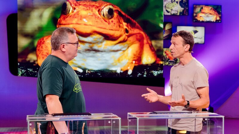 Experte Dr. Sebastian Lotzkat erklärt heute bei „1, 2 oder 3“ unter anderem, wie verschiedene Frösche unterschiedlich hören können. – Bild: Ruppografie – Nadine Rupp