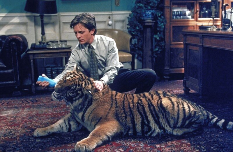 In seinem Büro gibt sich Mike (Michael J. Fox) sichtlich Mühe, sich mit einem quicklebendigen Tiger anzufreunden … – Bild: ProSieben Fun