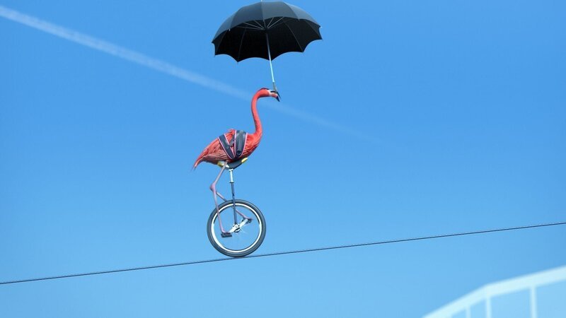 Der Flamingo fährt Einrad auf einem Seil, das zwischen zwei Hochhäusern gespannt ist – und das ganz ohne Sicherung. – Bild: Cube Creative Productions