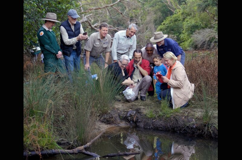 Die ersten Schnabeltiere werden wieder im Royal National Park ausgesetzt. Ein großer Tag für die Wissenschaftler. – Bild: MedienKontor/​Lou Petho
