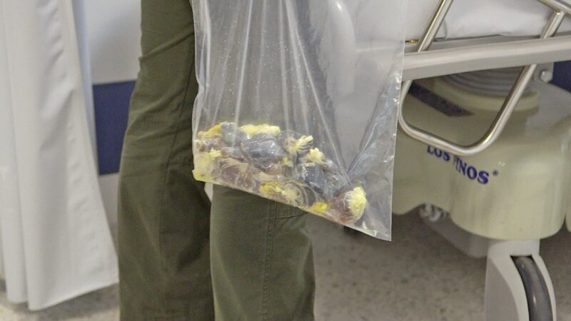 BOGOTA, COLOMBIA – Drugs seized. – Bild: RTL