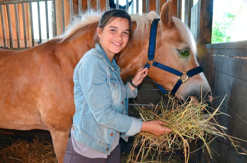 Pferde fressen hauptsächlich Heu und zwischendurch Stroh. Anna hat „Quicket“ damit reichlich versorgt. – Bild: BR/​TEXT + BILD Medienproduktion GmbH & Co. KG