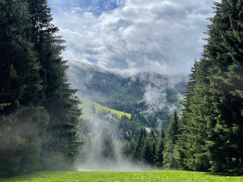 Die schöne Landschaft des Allgäus. – Bild: Bettina Zettler /​ BR /​ Bewegte Zeiten Filmproduktion GmbH