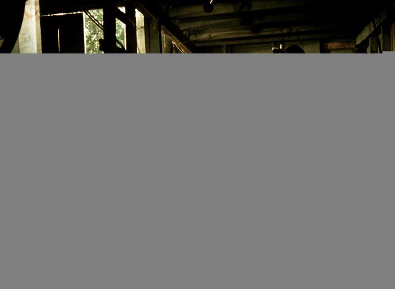 Ein Kälbchen lässt die Herzen der Waltons-Kinder höher schlagen. Doch für Vater John bedeutet der Neuzuwachs nur zusätzliche Ausgaben … – Bild: WARNER BROS. INTERNATIONAL TELEVISION Lizenzbild frei