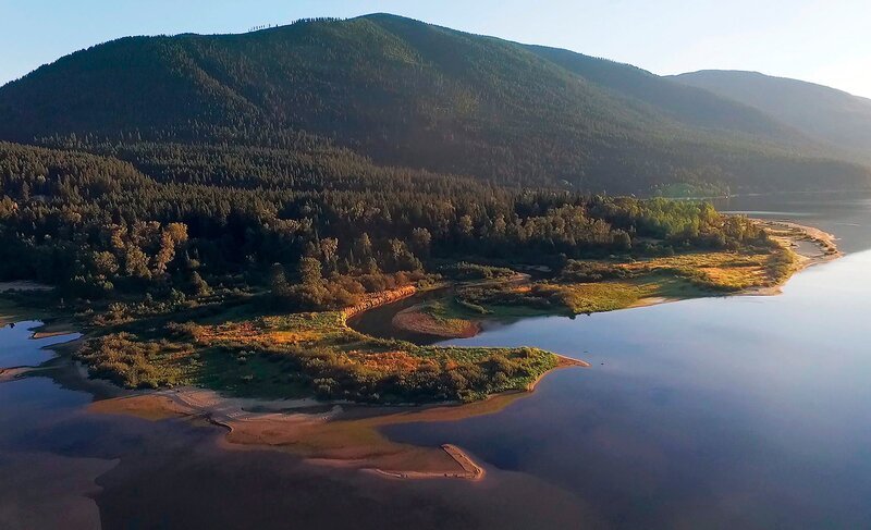 Die Kokany Lachse wandern im Sommer zum Laichen die Flüsse hoch, die in den Kooteney See münden. – Bild: BR/Medienproduktion/SWR Die Kokany Lachse wandern im Sommer zum Laichen die Flüsse hoch, die in den Kooteney See münden. – Bild: BR/Medienproduktion/SWR