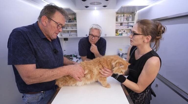 Doc Dreesen(l.) is volunteering with „Tiemo,“ the mobile veterinary clinic, in Duisburg: Kovu the cat is showing signs of paralysis, and his owner is very worried. – Bild: SAT.1 GOLD