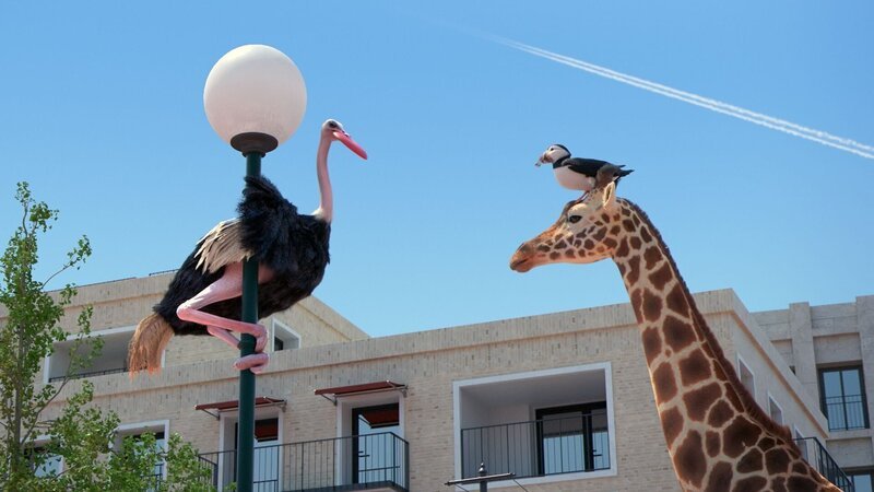 Der Papageientaucher kann sich nicht wirklich gegenüber dem Vogelstrauß und dessen eigenen Spielregeln durchsetzen. – Bild: Cube Creative Productions