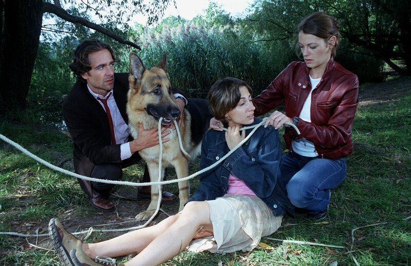 (v.li.): Alexander Pschill (Marc Hoffmann), Proschat Madani (Dr. Klein), Elke Winkens (Niki Herzog). – Bild: ORF/​Dohr Werbe GmbH/​Ali Schafler