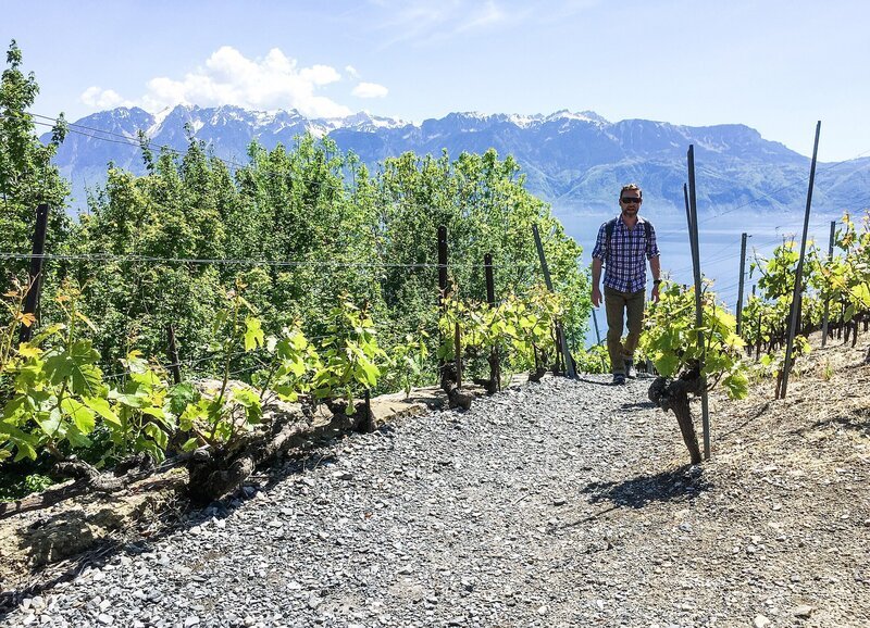 SRF bi de Lüt Wunderland – Lac Léman – Lavaux Staffel 6, Episode 5 Nik Hartmann wandert durch die Rebberge – Bild: SRF