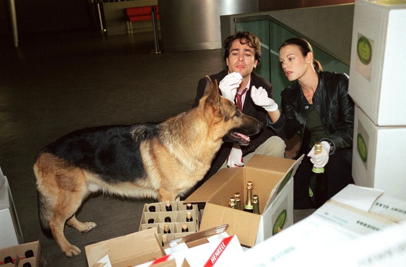 Alexander Pschill (Marc Hoffmann), Elke Winkens (Niki Herzog). – Bild: ORF1