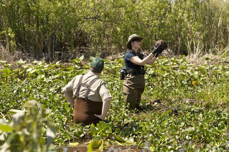 Brennan (Emily Deschanel, r.) versucht die Identität eines Mannes zu klären, dessen sterblichen Überreste in den Sümpfen der Everglades in Florida gefunden wurden. – Bild: SUPER RTL /​ FOX