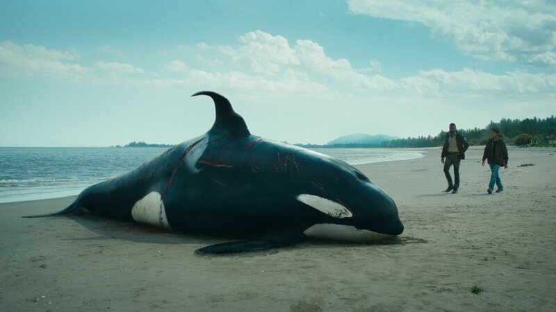 In Vancouver liegt ein toter Orca am Strand. Wahlforscher Leon Anawak (Joshua Odjick, r.) und  O’Bannon (Dutch Johnson, l.) rätseln über die Todesursache. – Bild: ZDF und Schwarm TV Production GmbH & Co
