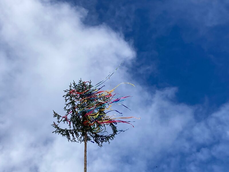 Kerwabaum vor einem blau-weißen Himmel. – Bild: Carsten Frank /​ BR, Bewegte Zeiten Filmproduktion GmbH /​ BR/​Bewegte Zeiten Filmproduktion GmbH/​Carsten Frank