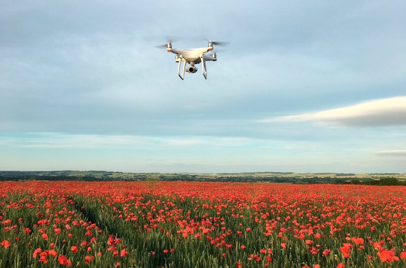 Eine Klatschmohnlandschaft in den Cotswolds. – Bild: NDR/​a&o buero