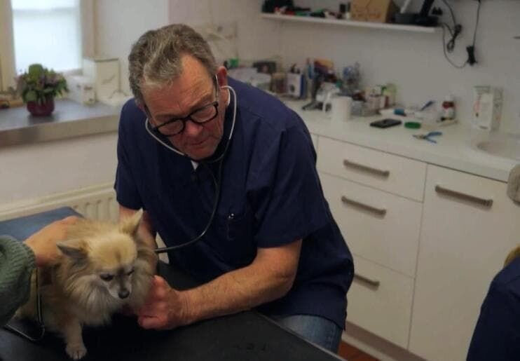 Dr. Herbert Dreesen – Bild: Joyn