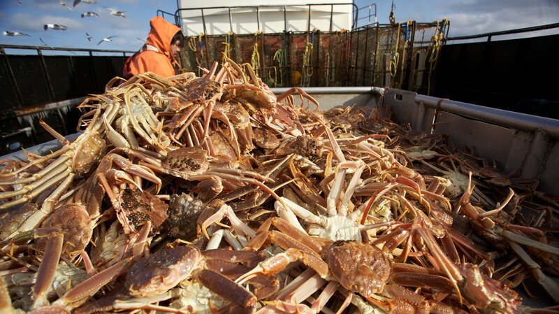 The Seabrooke starts trip with great Crab Counts. – Bild: Discovery Communications/​Travis Tips/​Travis Tips