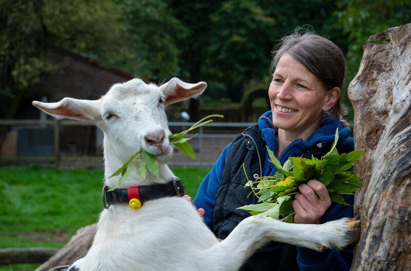 Sonja Girndt bezeichnet sich selbst als Ziegenflüsterin. Knapp 30 Ziegen hält sie auf ihrem Hof in Neukirchen-Vluyn am Niederrhein. – Bild: WDR/​Megaherz/​Melanie Grande