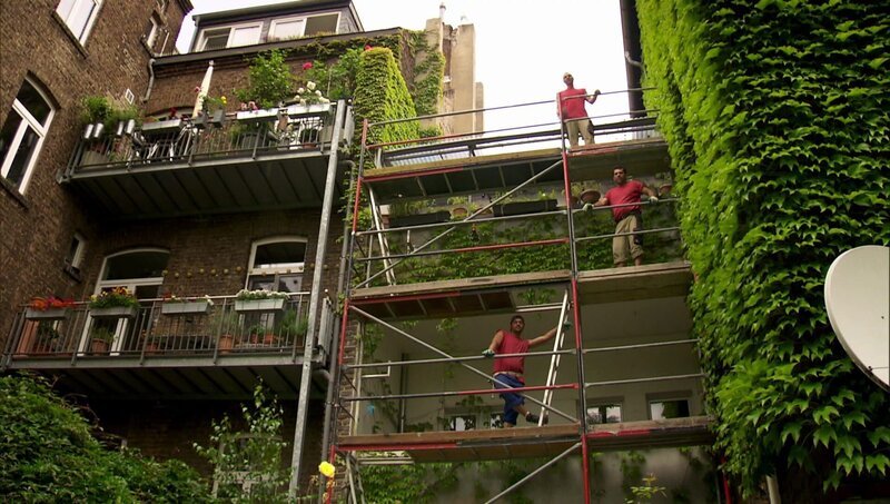 Drei Männer auf einem Gerüst vor einem Haus. – Bild: WDR/​Die Sendung mit dem Elefanten