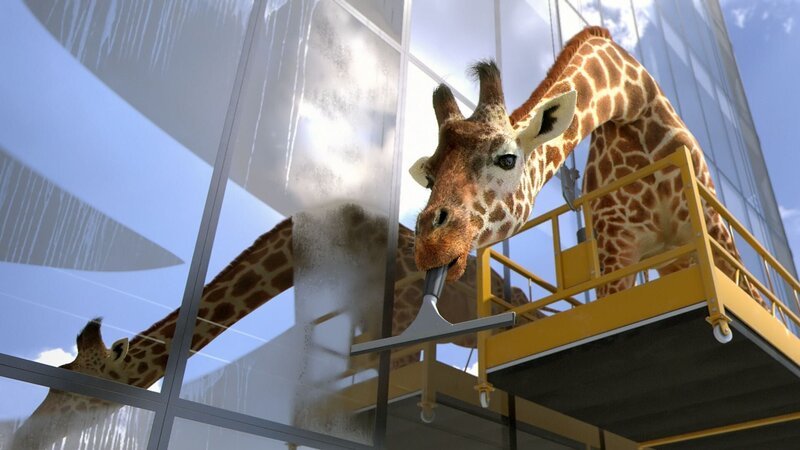 Die hyperaktive Giraffe entwickelt beim Wettputzen eine ganz eigene Technik … – Bild: Cube Creative Productions
