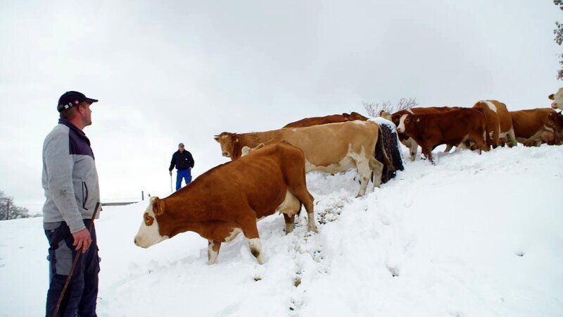 Auch so kann der Herbst auf der Alm aussehen. – Bild: 3sat Auch so kann der Herbst auf der Alm aussehen. – Bild: 3sat