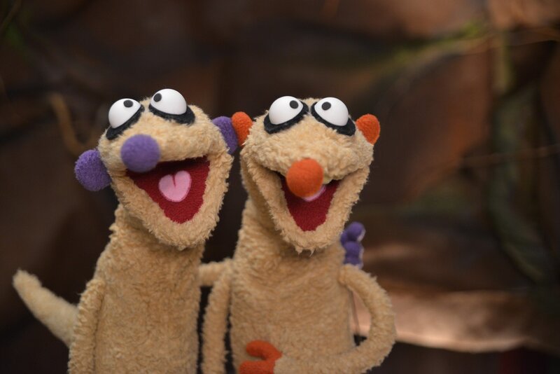 Die Erdmännchen Jan und Henry hören ein seltsames Geräusch, das sie vom Schlafen abhält. – Bild: rbb/​bigSmile Ent./​NDR/​MDR
