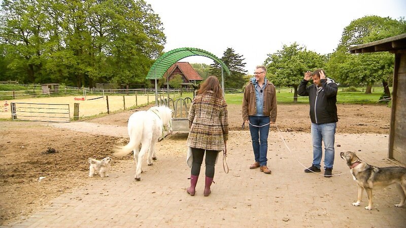 Martin Rütter (M.) besucht Ralf und Katharina mit Mischling Chewbacca. – Bild: TVNOW /​ Mina Tv