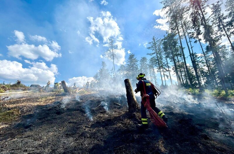 Wald- und Flächenbrände nehmen weltweit zu. Auch im Südwesten Deutschlands sehen Experten eine steigende Waldbrandgefahr. – Bild: SWR/​Stephanie Krüger /​ SWR Presse/​Bildkommunikation
