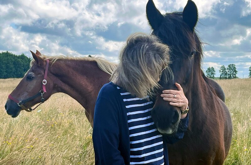 Charlotte Link mit Pferden: Auch in ihren Romanen tauchen Tiere immer wieder als emotionale Bezugspunkte auf. – Bild: Sabine Jainski/​Medea Film /​ Sabine Jainski/​Medea Film
