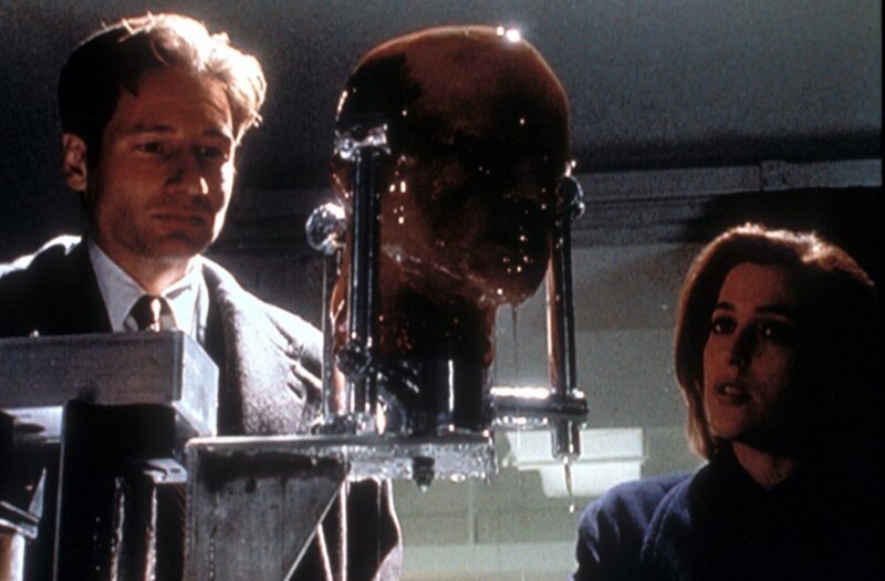 Mulder (David Duchovny, l.) und Scully (Gillian Anderson, r.) untersuchen den abgetrennten Kopf eines bei einem Verkehrsunfall getöteten Mannes. – Bild: ProSieben MAXX