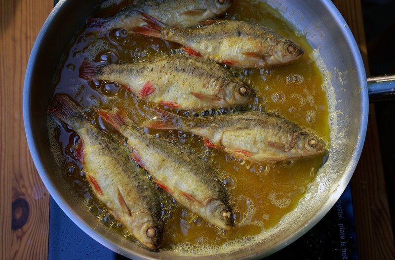 Wer gute Stellen kennt, kann in der Mosel schöne Rotaugen angeln – und sie anschließend braten. – Bild: Dieter Stürmer