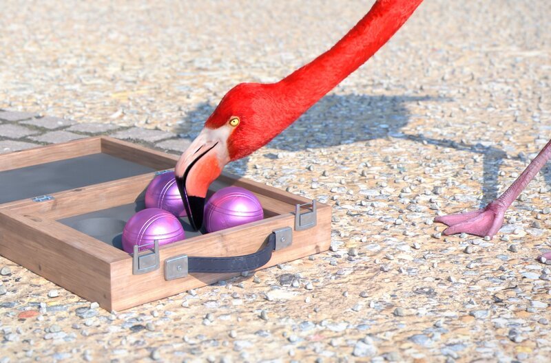 Im Boule-Spiel scheint der überhebliche Flamingo zunächst unbesiegbar … – Bild: Cube Creative Productions