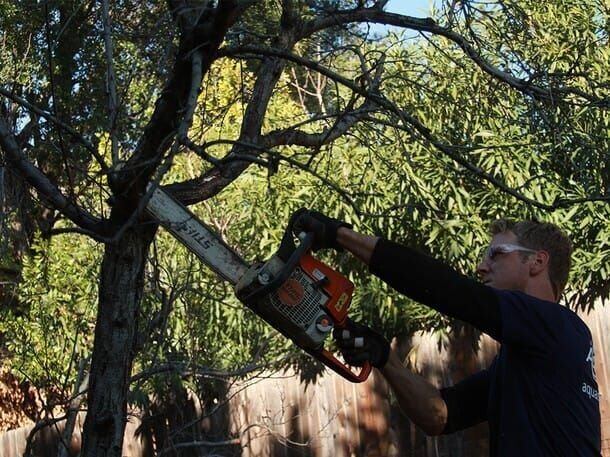 Chris Hanson using a chainsaw on some branches at the Klingensmith’s build. – Bild: National Geographic Channels /​ Mike Mallory
