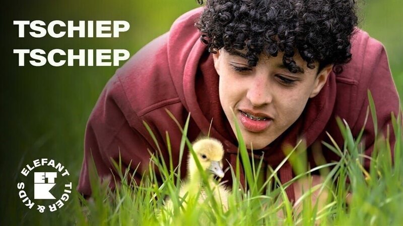 In der Wildvogelstation in Dresden versorgen die Jugendlichen verletzte Bussarde und Rotmilane und lernen die Gänseküken Gisela und Corey kennen, die ihnen auf Schritt und Tritt folgen. – Bild: MDR/​Cine Impuls Leipzig GmbH