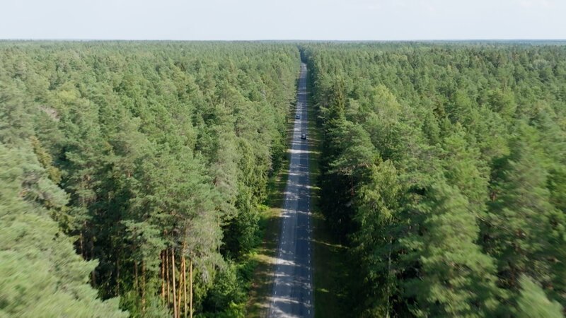 Straße durch den Wald von Lahemaa. – Bild: ZDF und RB