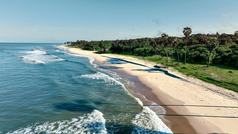 Der Strand der Dschungeltiere. – Bild: ORF/​Altayfilm GmbH