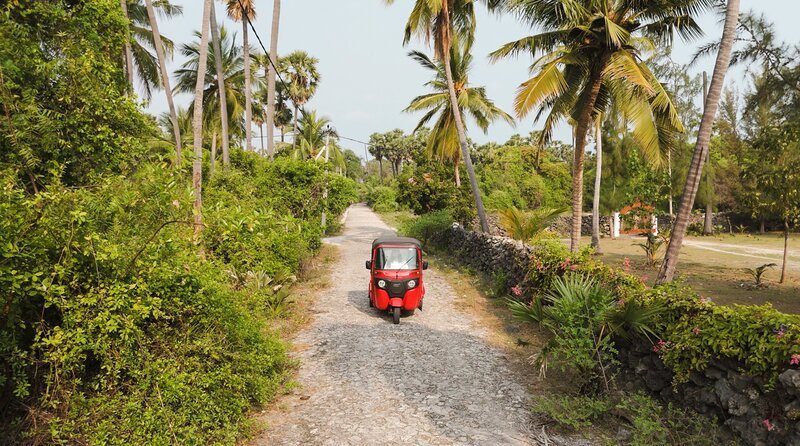 Die Fahrt über die weißen Korallensand-Pisten von Delft Island fühlt sich an wie eine Zeitreise – die abgelegenste bewohnte Insel Sri Lankas verspricht jede Menge Abenteuer und Entspannung. – Bild: NDR/​Melanie Simons