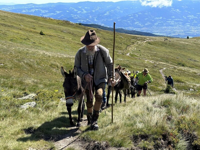 Eselwanderung zum großen Sauofen. – Bild: ORF/Landesstudio Kärnten/Peter Seifert Eselwanderung zum großen Sauofen. – Bild: ORF/Landesstudio Kärnten/Peter Seifert