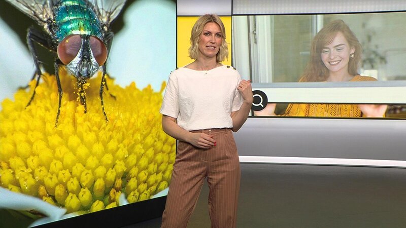 Bild: RTL