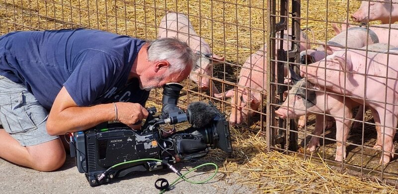 Kameramann Heribert Senegacnik auf Augenhöhe mit den Nachwuchsschweinen. – Bild: ORF/​WDW Film/​Heribert Senegacnik