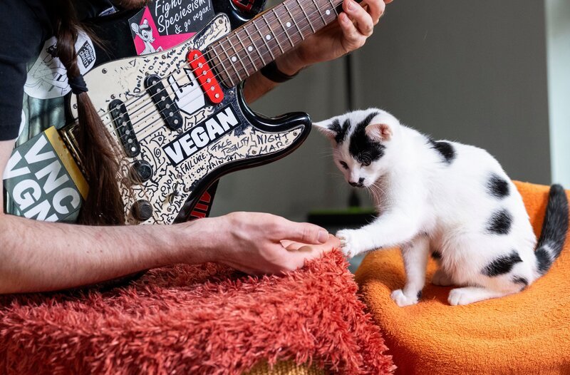 Voller Einsatz für jedes Tier! Dazu gehören auch kleine Konzerte mit der Rockgitarre! Die Katzen im Tierheim Bergheim genießen es, wenn ihr Pfleger für sie Musik macht. – Bild: WDR/​Melanie Grande