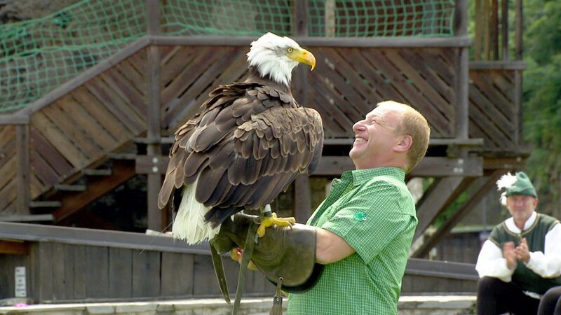 Harry Prünster bei der Greifvogelshow. – Bild: Verwendung honorarfrei zur Programmberichterstattung bzw. für die redaktionelle Berichterstattung in Zusammenhang mit oben genannter Sendung, Veranstaltung etc. Bei Veröffentlichung ist in jedem Fall der angeführte Fotocredit wiederzugeben. Für andere
