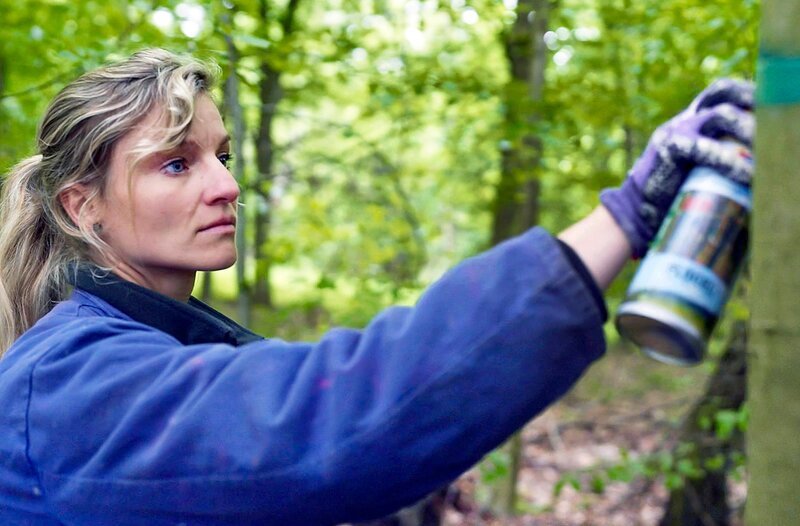 Es wird wärmer und trockener und trotzdem muss der Wald Holz liefern – Bild: MDR/Ole Sieg, honorarfrei – Verwendung gemäß der AGB im engen inhaltlichen, redaktionellen Zusammenhang mit genannter MDR-Sendung bei Nennung „Bild: MDR/Ole Sieg“ (S2+). MDR/HA Kommunikation, 04360 Leipzig, Tel: (0341) 300 6477 oder – 6463 Es wird wärmer und trockener und trotzdem muss der Wald Holz liefern – Bild: MDR/Ole Sieg, honorarfrei – Verwendung gemäß der AGB im engen inhaltlichen, redaktionellen Zusammenhang mit genannter MDR-Sendung bei Nennung „Bild: MDR/Ole Sieg“ (S2+). MDR/HA Kommunikation, 04360 Leipzig, Tel: (0341) 300 6477 oder – 6463
