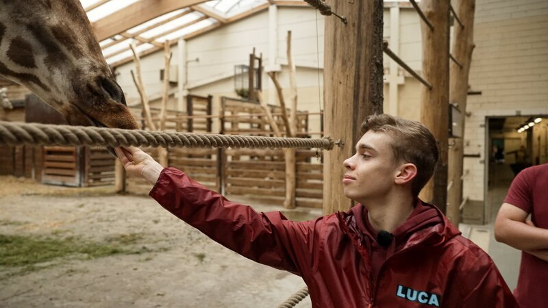 Luca füttert Giraffe im Innengehege der Giraffen im Zoo Leipzig. – Bild: MDR/​Cine Impuls Leipzig GmbH