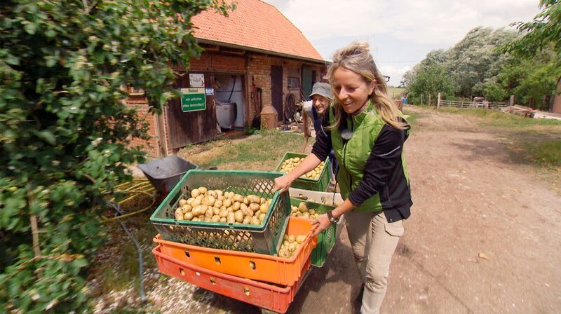 Urlaub gegen Hand macht Silke auf einem kleinen Bio-Bauernhof bei Dassow. Wer hier mitarbeitet, hat freie Kost und Logis. – Bild: NDR/​Anke Riedel