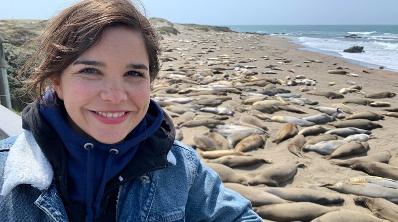 Anna besucht die See-Elefanten in Piedras Blancas, Kalifornien. – Bild: BR/​Text und Bild Medienproduktion GmbH & Co. KG/​Katja Schübl
