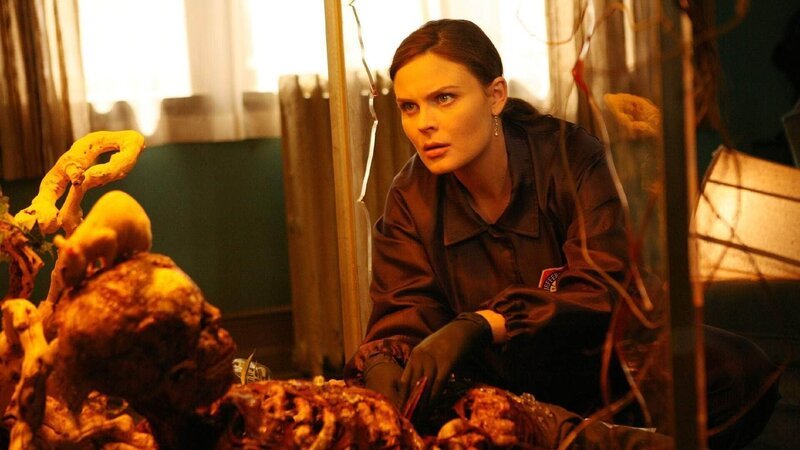 Brennan (Emily Deschanel) wird mit ihrem Team zu einem Terrarium gerufen, in dem eine tote Frau gefunden wurde. Der obere Teil der Frau ist durch die im Terrarium gehaltenen Ratten völlig zerfressen, so dass eine Identifizierung erschwert wird. – Bild: RTL /​ FOX