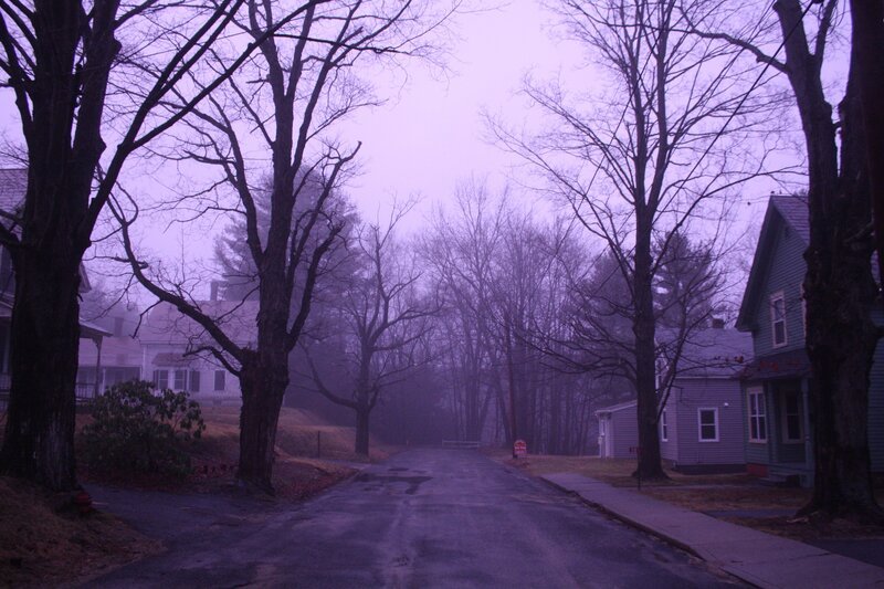 As seen in The Haunted. – Bild: Animal Planet
